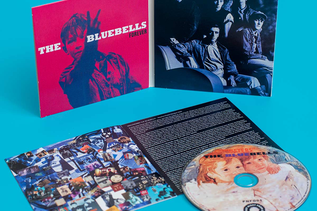 Digifile - the bluebells