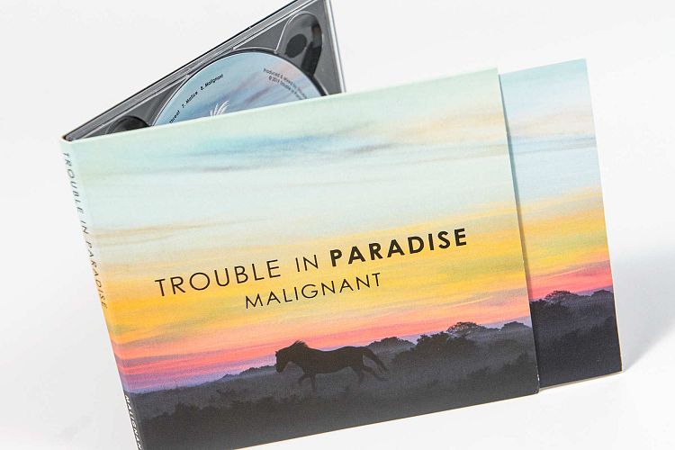 4 panel CD digipak with booklet